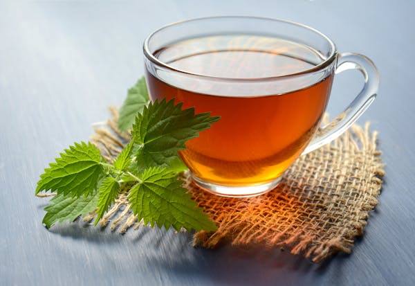 Raw vs Ripe Pu'er: How to Choose